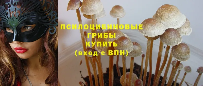 Галлюциногенные грибы Cubensis Донецк